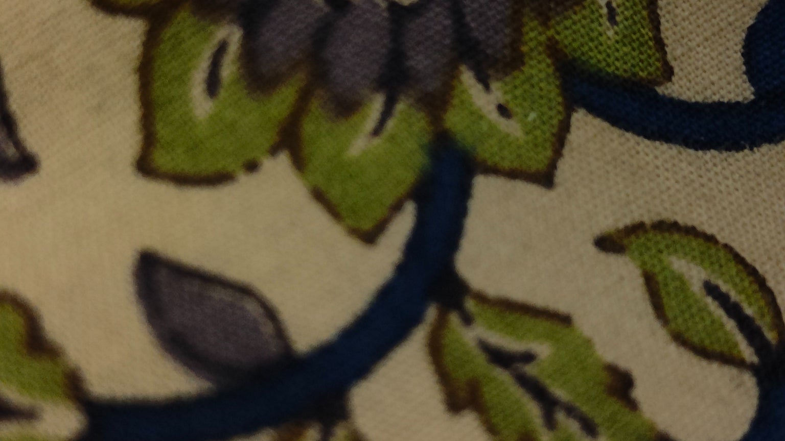 Photo prise avec zoom x1