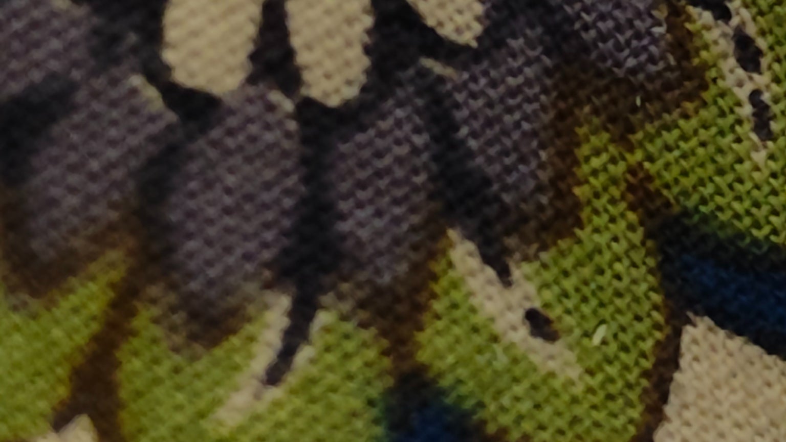 Photo prise avec zoom x2