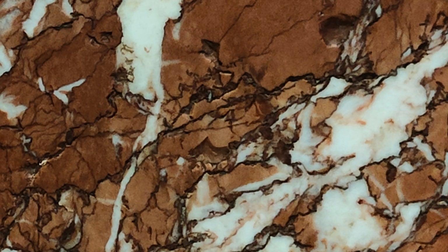 Photo prise avec le zoom x2