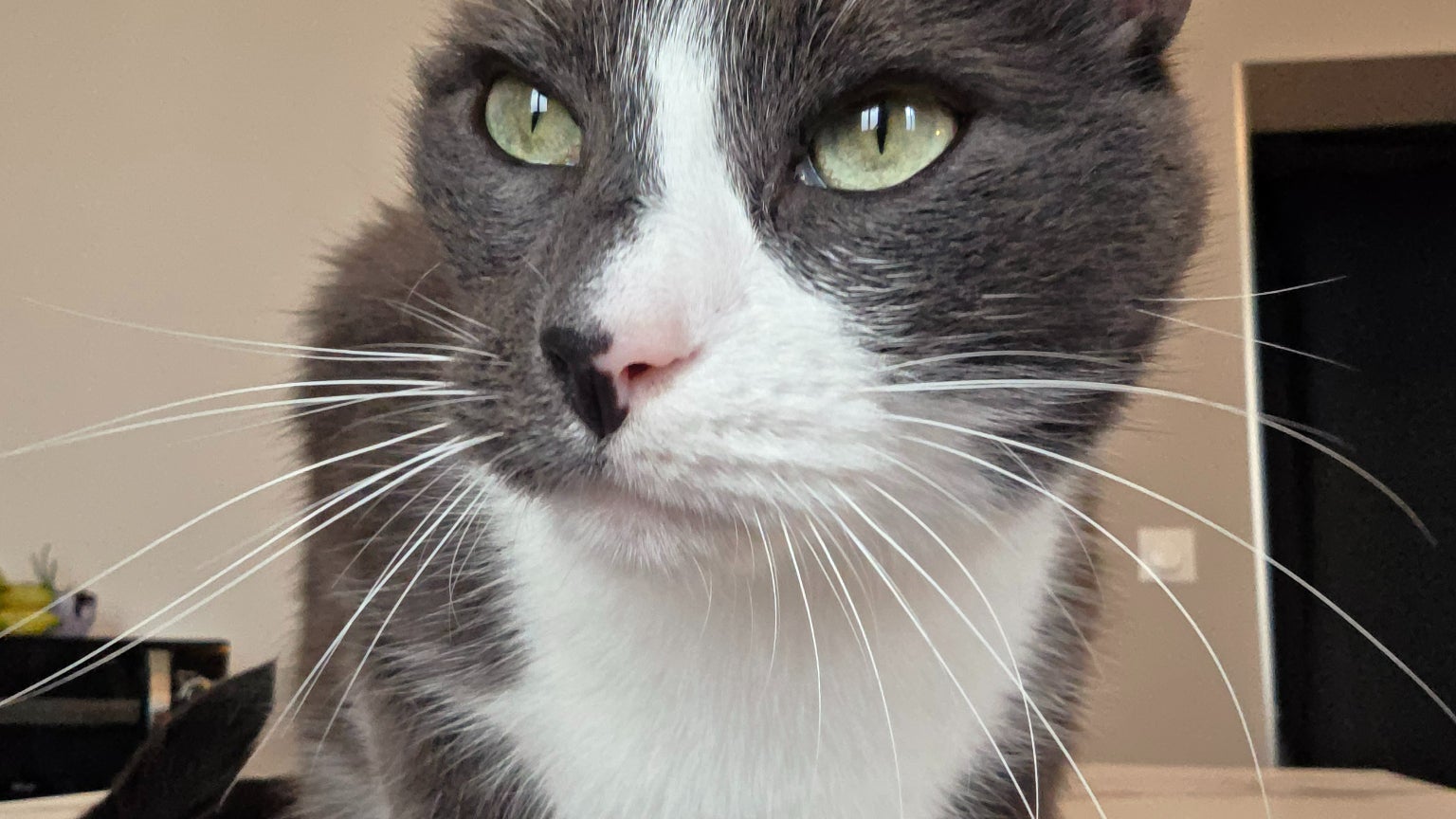 Photo prise avec la caméra avant en couleur "chaude"