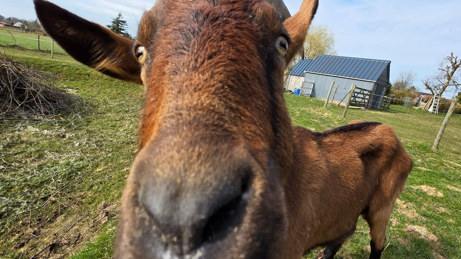 Le grand angle offre une superbe résolution