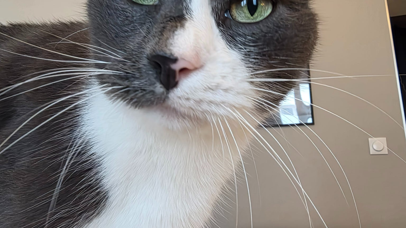 Même avec la caméra principale, le Samsung Galaxy Z Fold7 détecte quand il s'agit d'un selfie