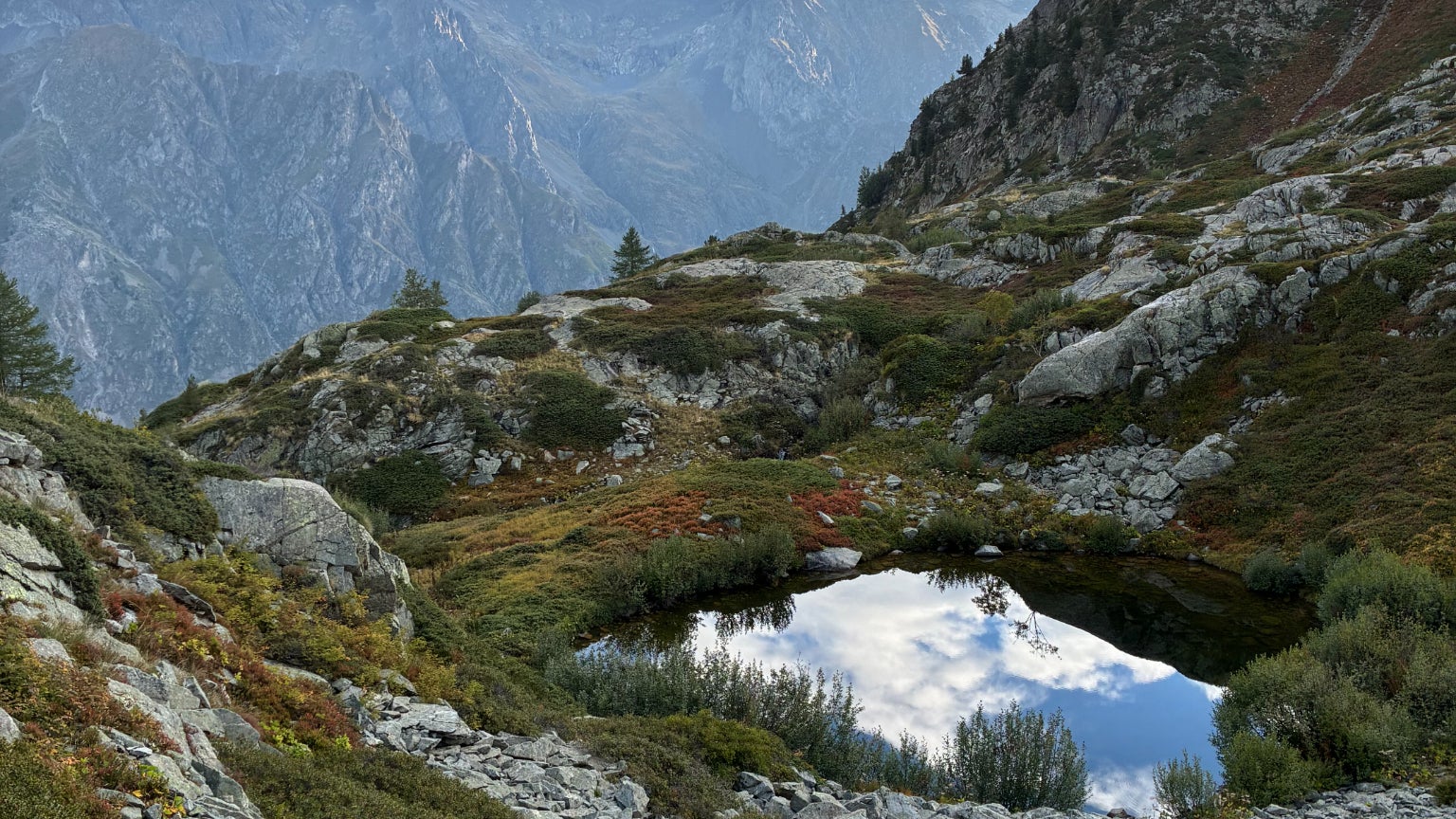 La capteur principal réalise de belles photos naturelles et pleines de couleurs