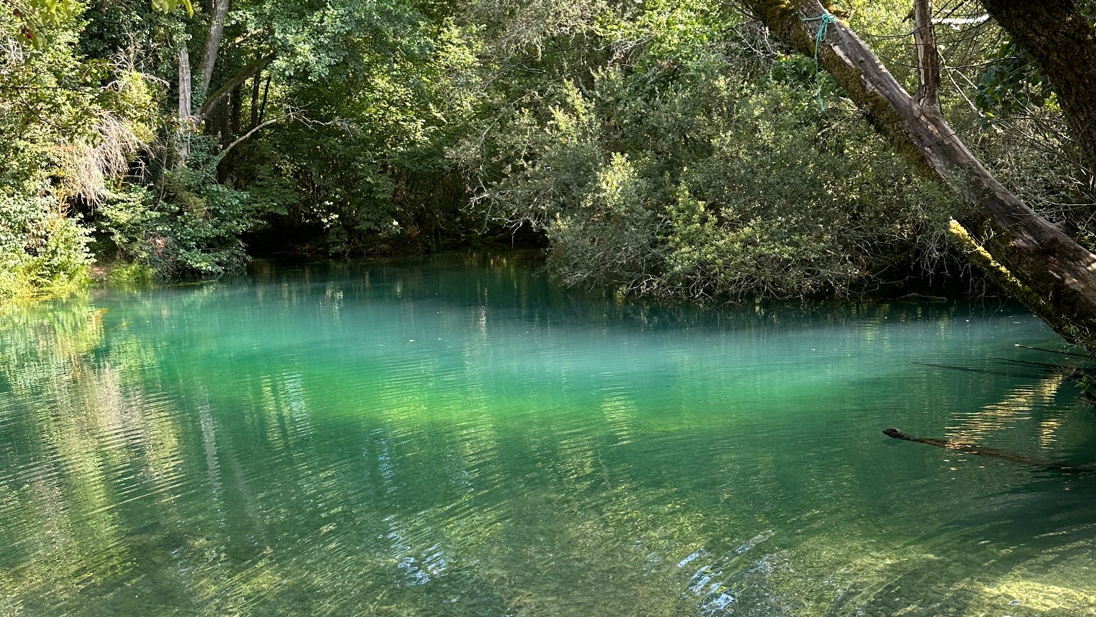 Les ondes sur l'eau, cristalline, ses niveaux de profondeurs, les reflets... Autant de détails qui ressortent parfaitement sur l'iPhone 14 Pro.