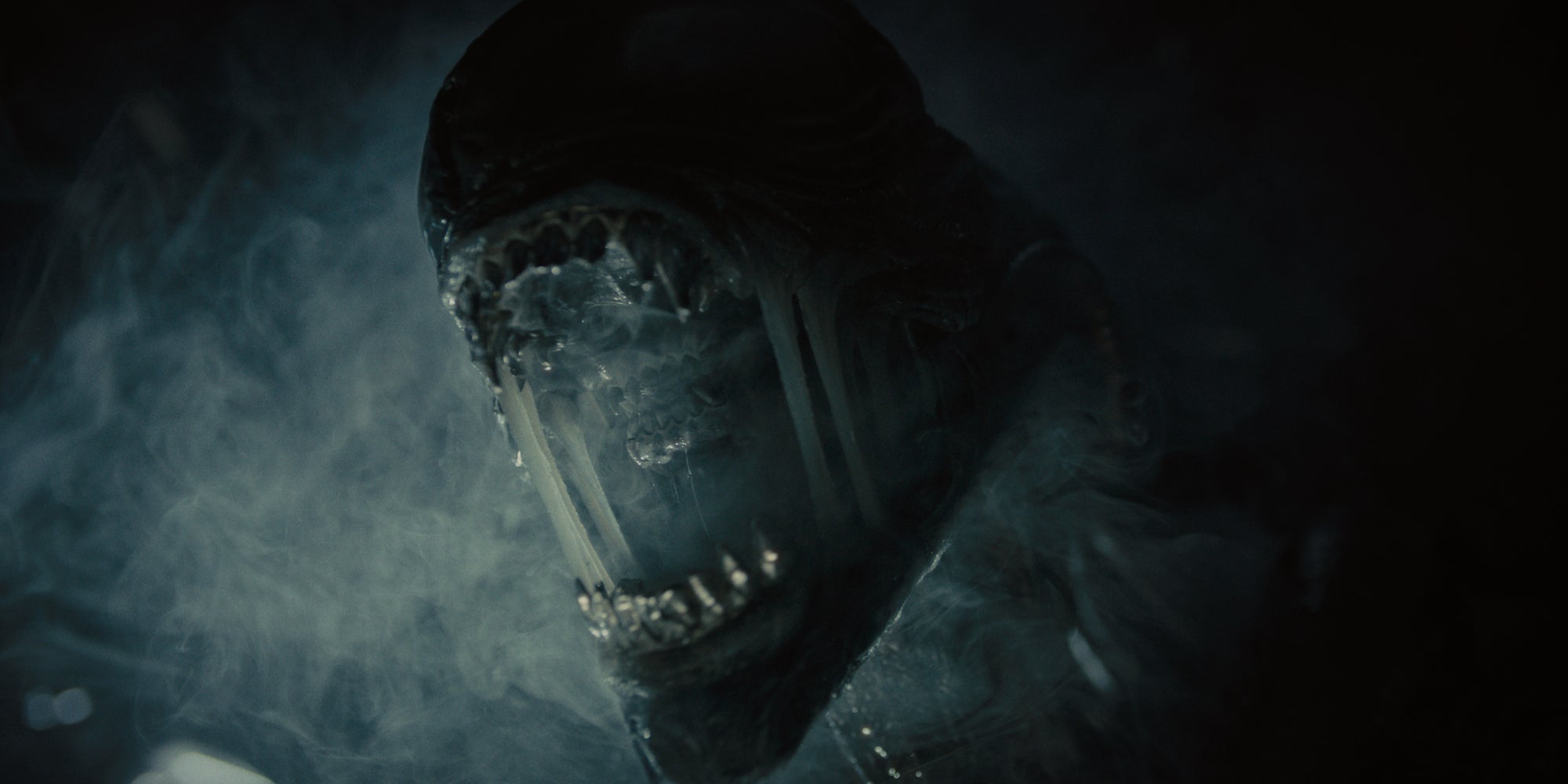 La saga ''Alien'' s'agrandit d'un interépisode avec Romulus, et il peut être difficile de s'y retrouver. On vous explique ! 