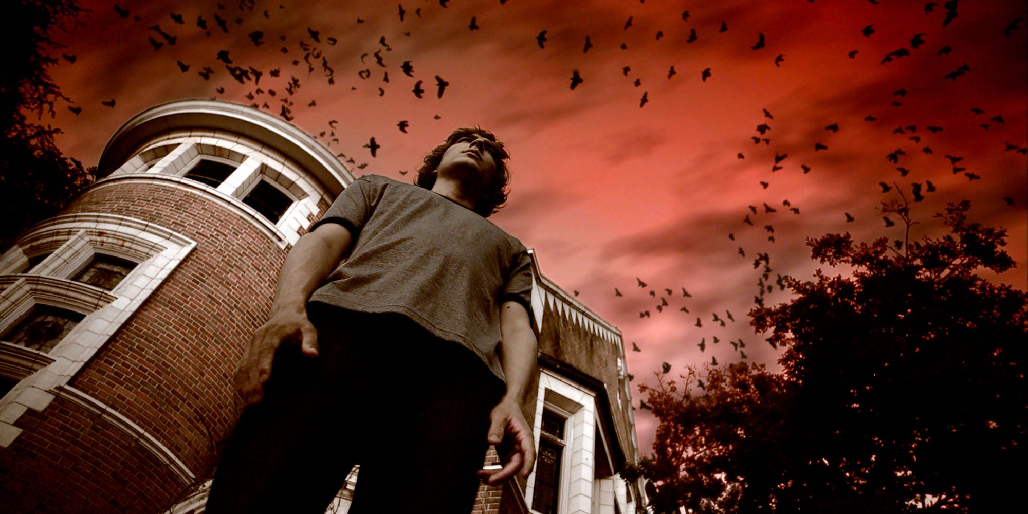 Huit saisons d'American Horror Story sont sur Netflix, dont Apocalypse.