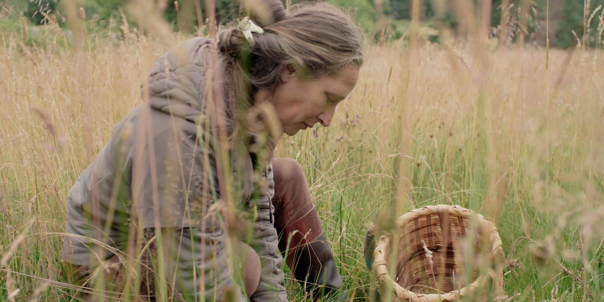 Le documentaire Cueilleurs par nature est diffusé ce samedi 1er octobre sur Ushuaïa TV