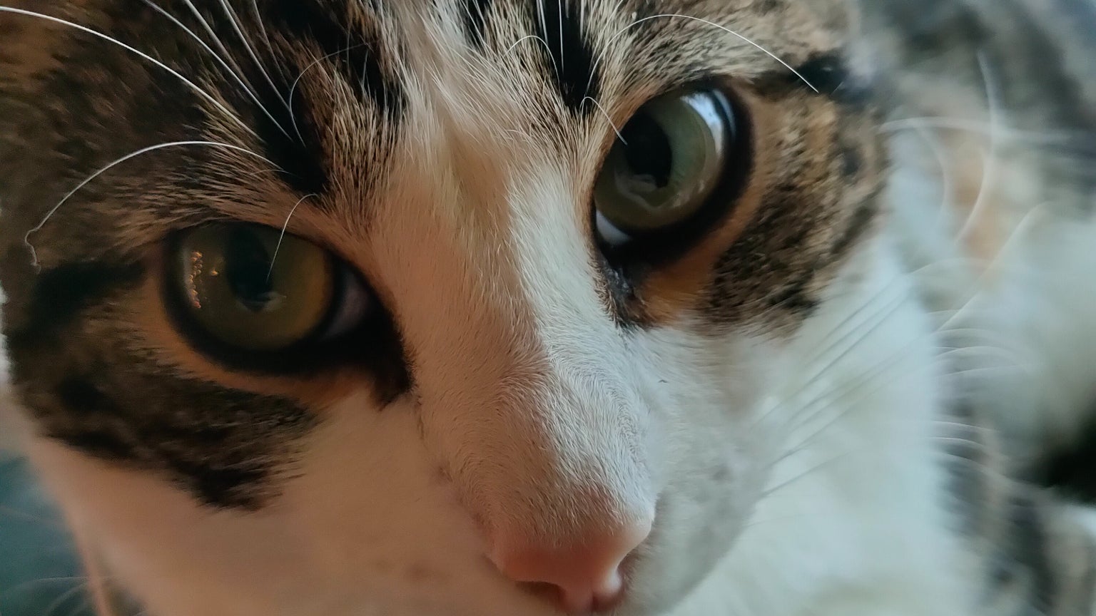 Sauron se prend en selfie avec l'OPPO Reno4 Pro 5G