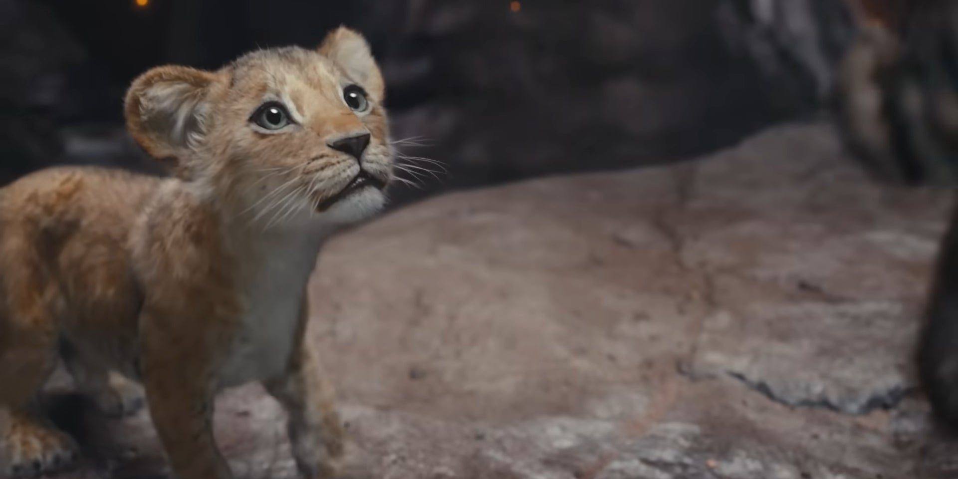 Après ''La Petite Sirène'', découvrez les prochains remakes des classiques Disney dont ''Mufusa : le Roi Lion'' et ''Lilo et Stich'' ! 