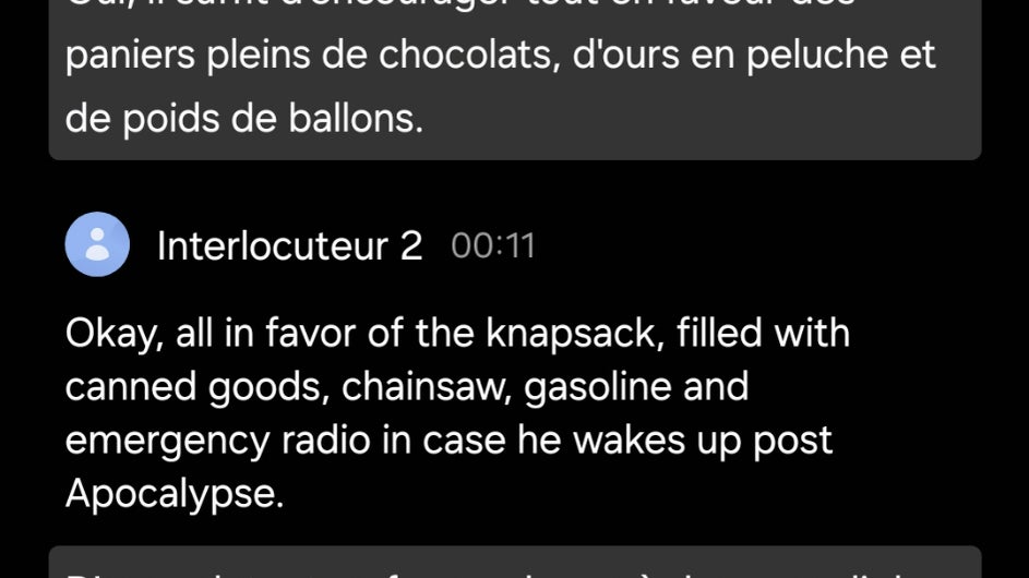 Quelques limites se font toutefois ressentir dans la traduction...