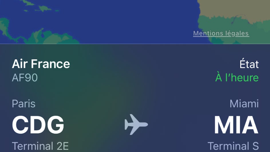 Une carte avec toutes les informations de vol apparaît alors (attention à bien vérifier la date) Une carte avec toutes les informations de vol apparaît alors (attention à bien vérifier la date)