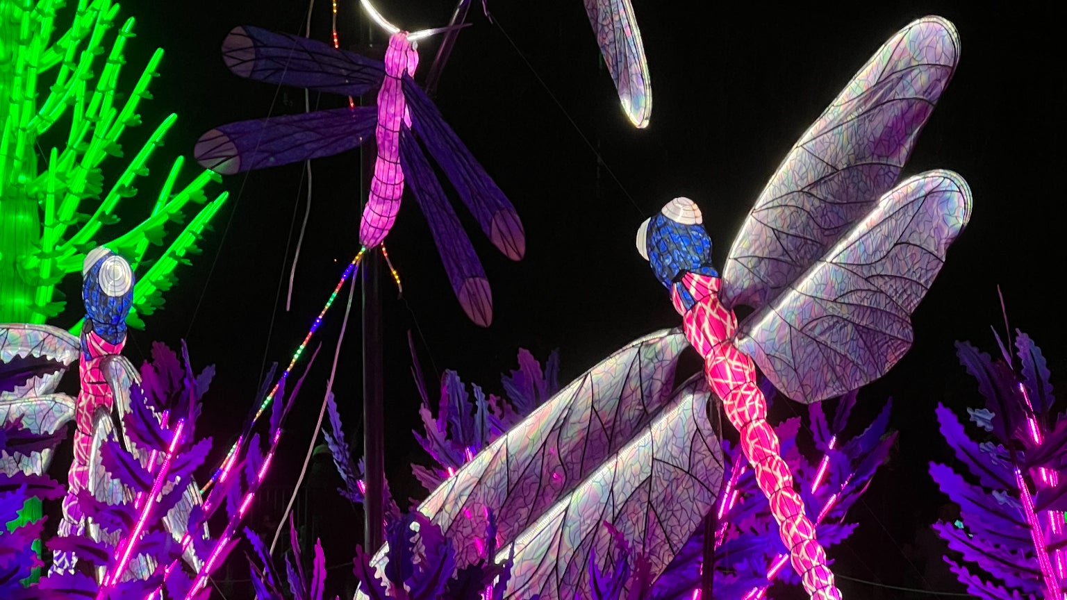 Les couleurs et les détails sont parfaitement respectés. Les couleurs et les détails sont parfaitement respectés.