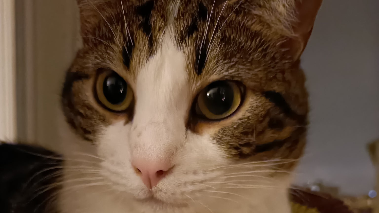 Avec l'OPPO Reno4 Z, Sauron a pu faire de jolis selfies, même la nuit