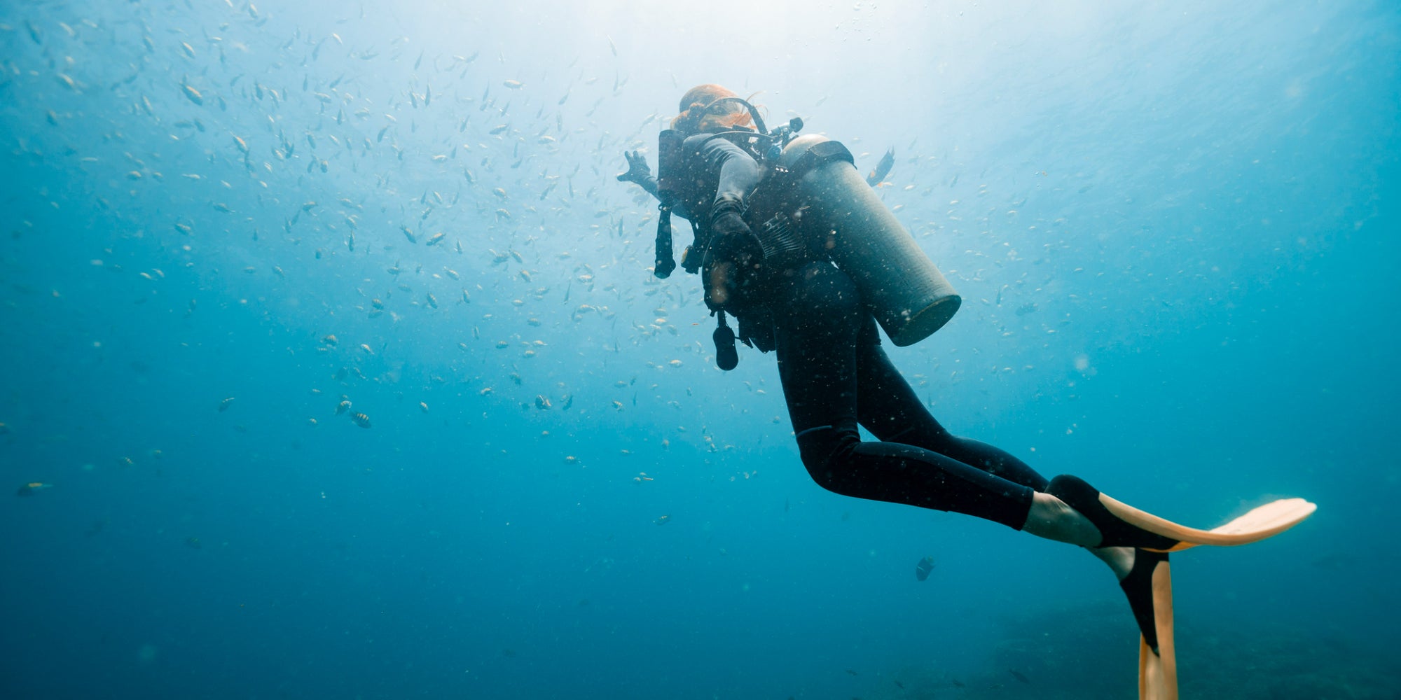 En Inde, un plongeur peut se remercier d'avoir pris avec lui son Apple Watch Ultra sous l'eau.