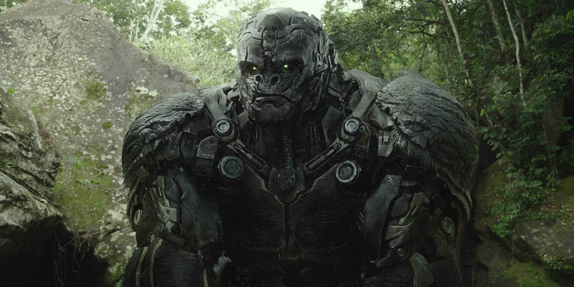 Le film "Transformers : Rise of The Beasts" a marqué l'arrivée des Maximals.