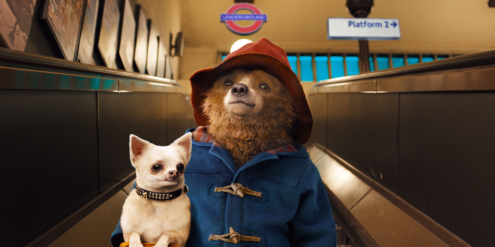 Plongez dans les aventures de l'ours Paddington en (re)découvrant les films de la trilogie. 