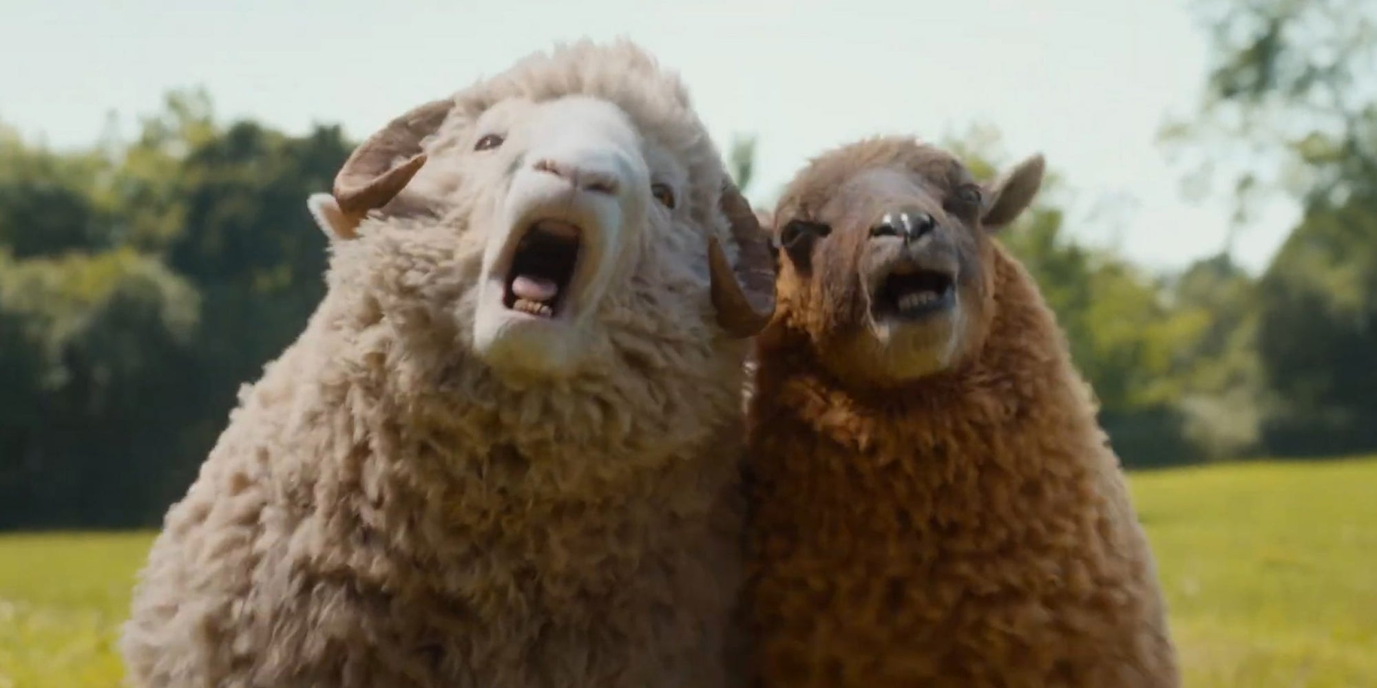Les Moutons Détectives a convaincu la Terre entière.