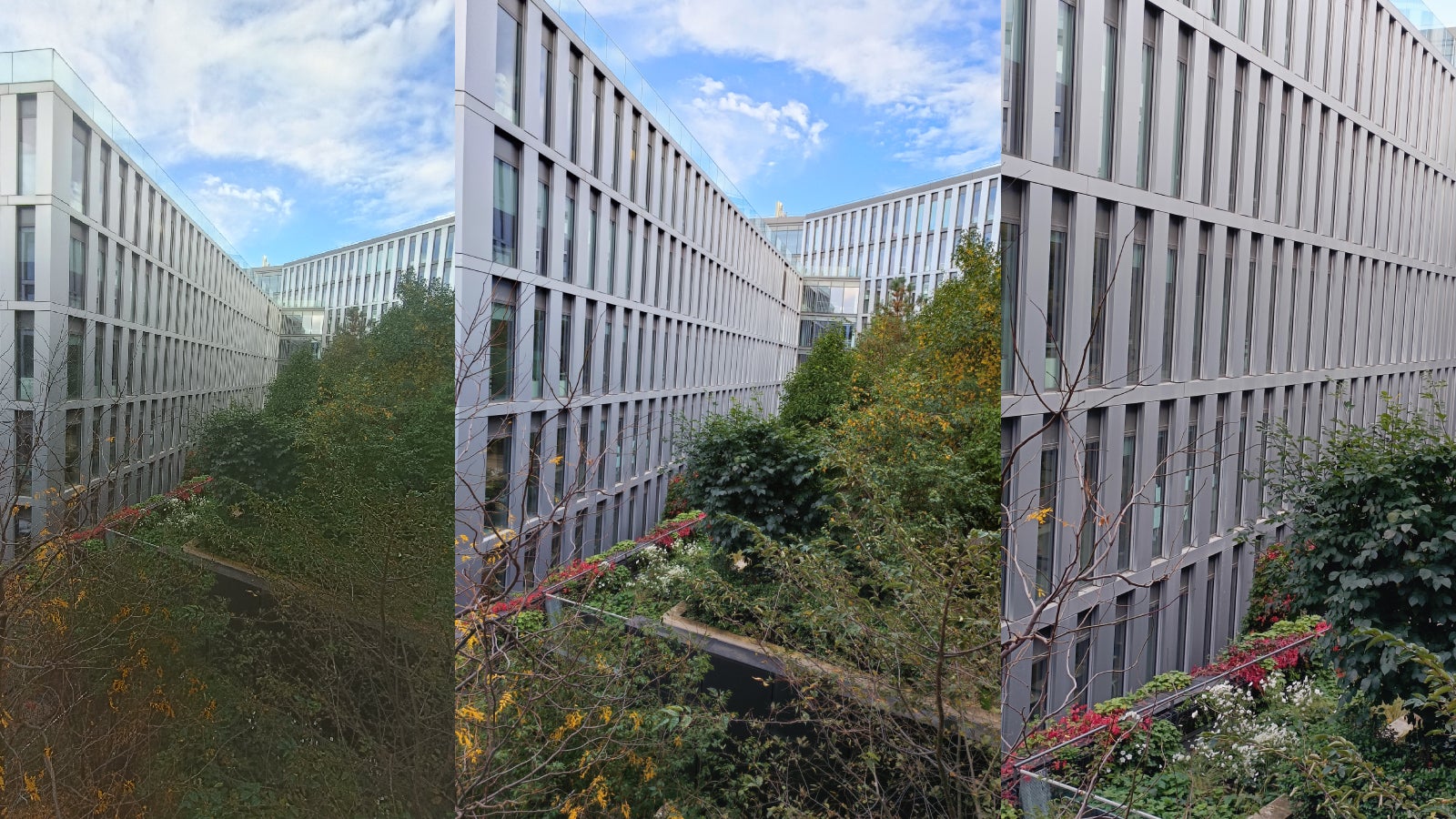 De gauche à droite, la même photo en x0,6, x1 et x2 avec l'OPPO Reno8