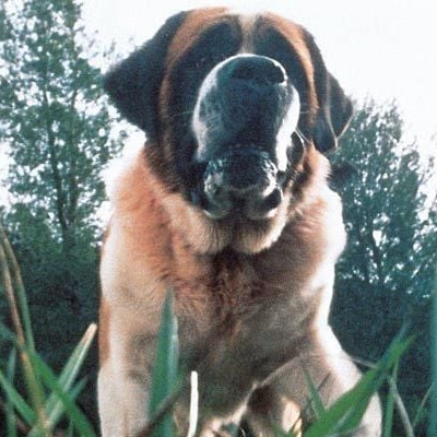 Netflix va adapter un célèbre roman de Stephen King