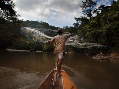 Zoom sur le cycle "Tous engagés" sur Ushuaïa TV