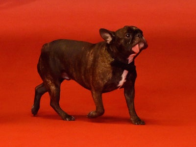 Ces stars improbables vues sur le tapis rouge de Cannes