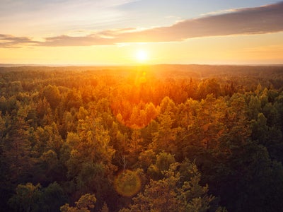 SFR lance Le Cap, un plan global pour une politique durable