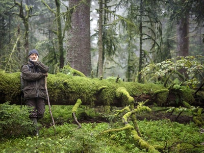 Le Chant des forêts : le film documentaire au cœur des Vosges arrive sur CINÉ+ OCS