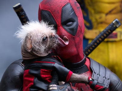 Mauvaise nouvelle pour les fans de Deadpool