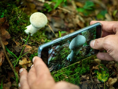 Tuto Android : comment prendre des photos en mode macro ?