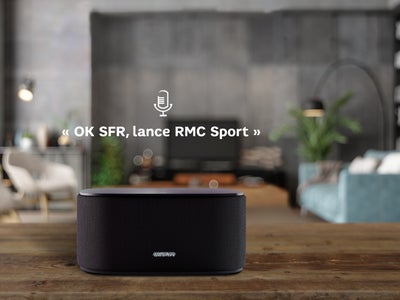 À quoi sert la commande vocale ?