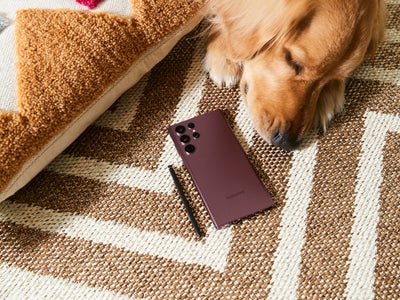 Samsung Galaxy S23 : une sortie plus tôt que prévu ?