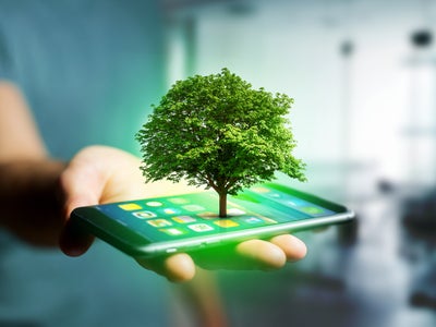 Semaines du Développement Durable chez SFR : écologie et économies