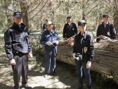 NCIS : Ziva de retour dans de nouveaux épisodes