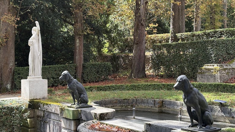 Le Bassin aux chiens du Domaine, cette fois en zoomant pour se concentrer sur les deux chiens. Le Bassin aux chiens du Domaine, cette fois en zoomant pour se concentrer sur les deux chiens.