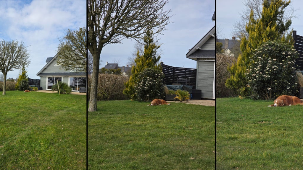 Zoom x1, Zoom x3 et Zoom x5