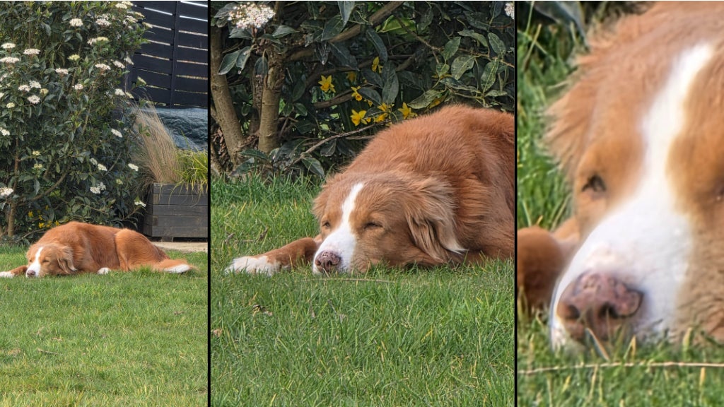 Zoom x10, Zoom x30 et Zoom x100