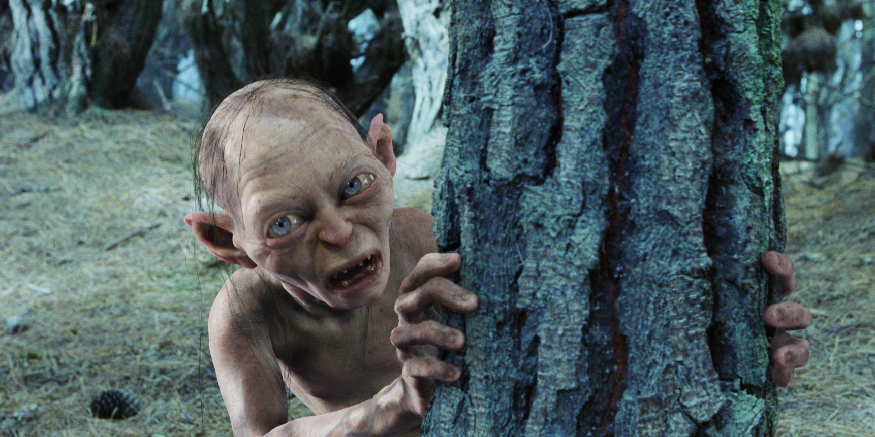 La trilogie Le Seigneur des anneaux est disponible sur Prime Video
