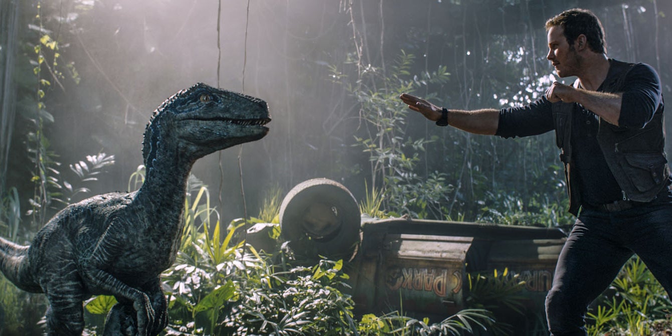 Chris Pratt face à Blue dans le précédent volet, "Jurassic World : Fallen Kingdom".