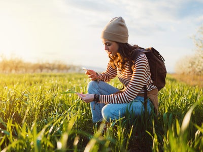 Offrez-vous un iPhone reconditionné à petit prix chez SFR
