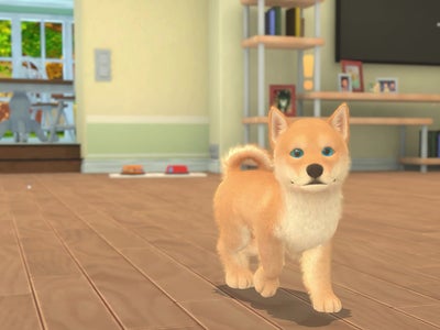 Instant Sports+ & My Universe Puppies & Kittens débarquent sur SFR Gaming