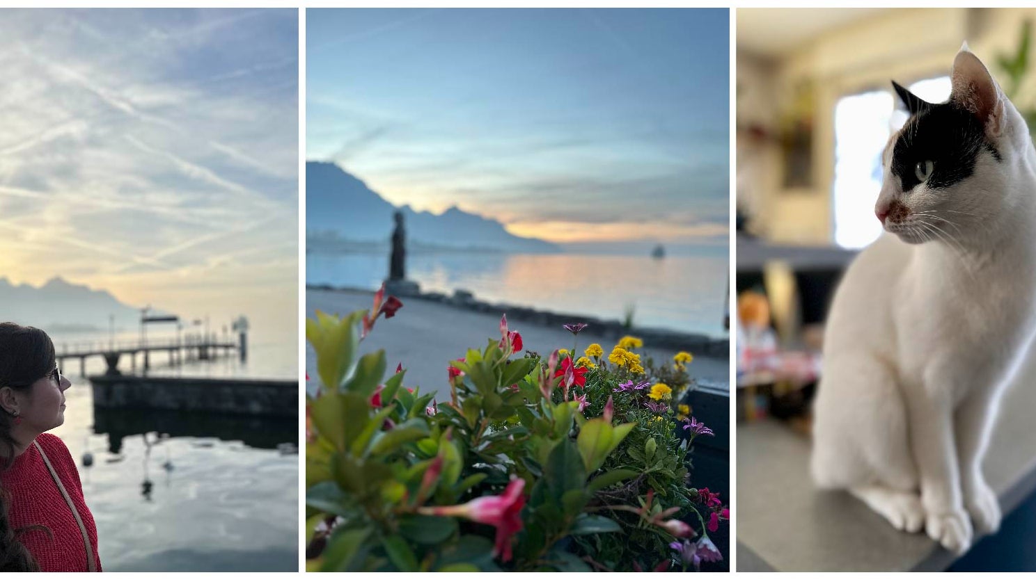 On apprécie aussi toujours le mode Portrait, qui délivre de somptueux effets de bokeh (et pas seulement avec les êtres humains).