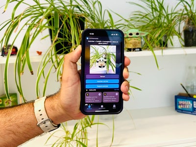 iPhone : découvrez cette commande secrète de l'appareil photo
