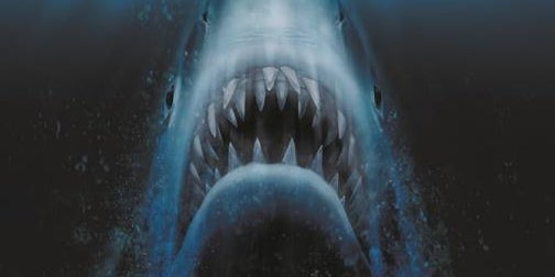 Les Dents de la Mer de Steven Spielberg fêtent leurs 45 ans ce jeudi 2 juillet sur TC Cinéma