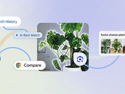Google Lens : 5 utilisations insoupçonnées de l'outil