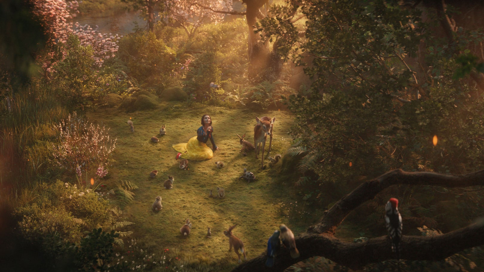 Des décors féériques, mais qui ne font pas toujours illusion