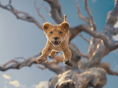 Mufasa : date, intrigue, casting... Tout ce qu'on sait du film préquel du Roi Lion