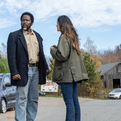 From : la série aura-t-elle une saison 5 sur Paramount+ ?
