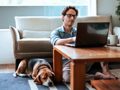 Box Internet : comparatif des offres Fibre chez SFR