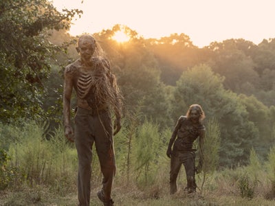 OCS : le programme en octobre 2020