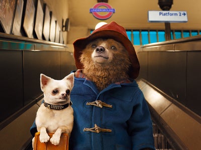 Paddington : où (re)voir les films ?